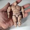 1/12 Scale Body Model for 6" Figure view 1
