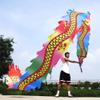 Square Exercise Dance Dragon Ribbon Streamer Printed with Dragon Tattoo, Comes with 3D Real-Like Dragon Head and Swing Rope Outdoor Dragon Poi Set (Rainbow Dragon, 19.6 FT (6 Meters)) view 3