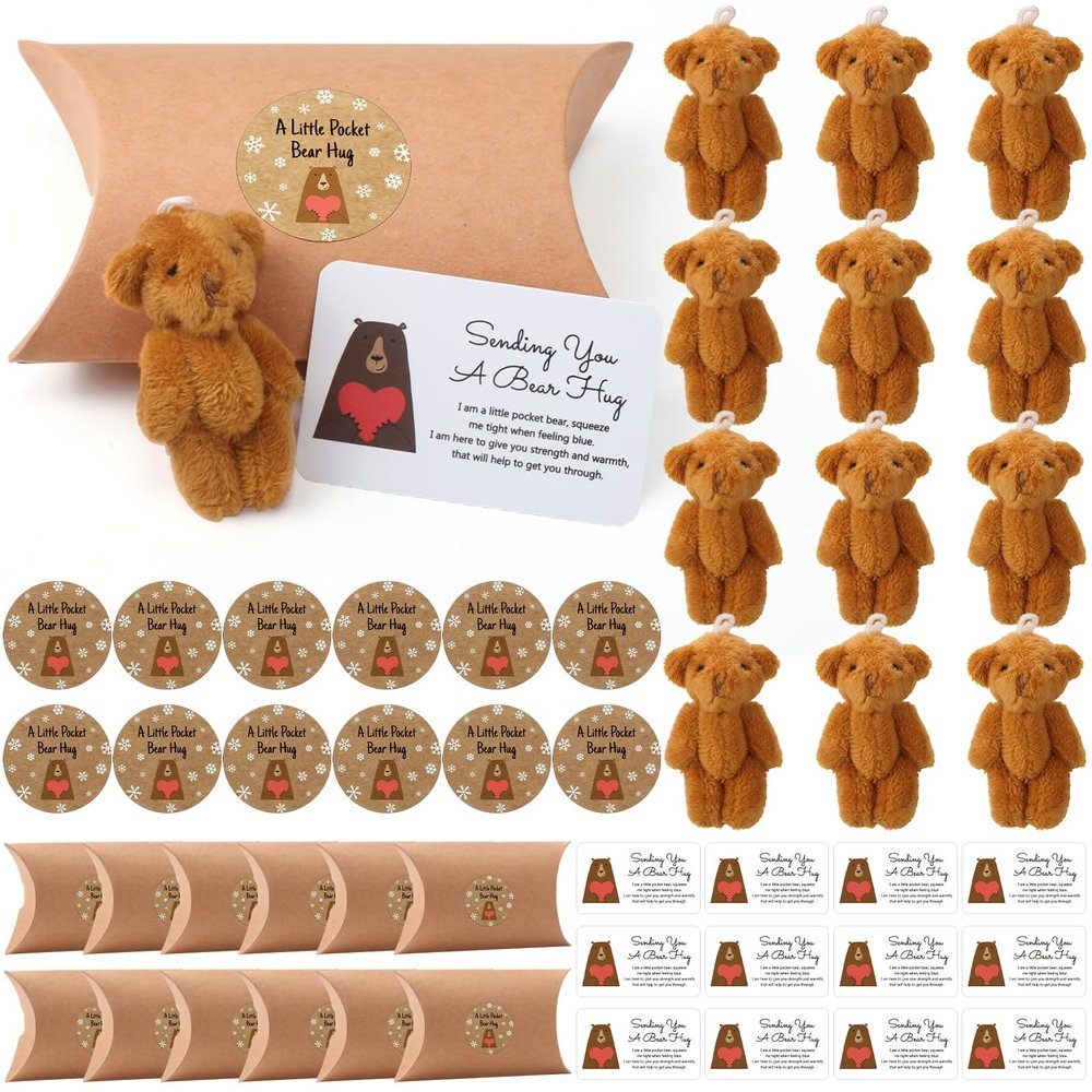12 Sets Little Pocket Bear Hug Bulk Cute Valentines Mini Plush Bears Toy Stuffed Animals Pillow Boxes with Stickers and Tag for Loved One Valentine's Day Birthday Gift Graduation Wedding Party(Brown)
