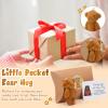 12 Sets Little Pocket Bear Hug Bulk Cute Valentines Mini Plush Bears Toy Stuffed Animals Pillow Boxes with Stickers and Tag for Loved One Valentine's Day Birthday Gift Graduation Wedding Party(Brown) view 4