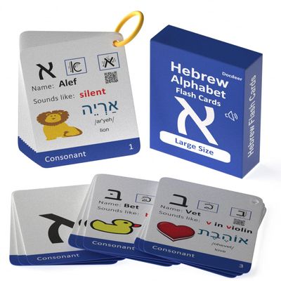 Hebrew Biblical Alphabet Syllabary Flash Cards  Alef Bet Letter Educational Jewish Language Learning Flashcards