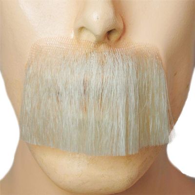 Morris Costumes Lacey Wigs LW623DBNGY Human Hair Einstein Mustache Dark Brown Gray & White