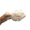 1Pc Handmade Ceramic Bisque Fish Ready To Paint, Blank Wall Hang For Custom Home Decor Beach Themed (Medium) view 4