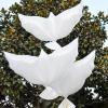10pcs Peace Dove Balloon Dove Memorial Balloons Giant Bird Balloons Inflatable Bird Dove Jumbo Balloons Wedding Decorations for Ceremony White Decor Decorative Balloons Party Props view 3