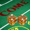 Cyber-Deals Craps Starter Kit Sets, Featuring Genuine Binions Las Vegas Casino Table-Played Craps Dice, Acrylic Dice Boat & More (Polished Dice) view 3