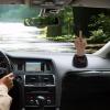 Middle Finger Car Ornament Funny Solar Powered Dancing Mid Finger Shaking Toy Car Interior Decoration for Automobiles Dashboard Room Desktop view 3