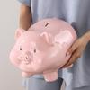 13 Large Piggy Bank for Adults,Girls Piggy Bank for Boys,Ceramic Money Bank,Alcancias De Dinero para Adultos,Coin Bank,Real Money Box for Cash Gift,Modern Home Decor Living Room view 2