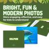 100 Animal, Insect & Ocean Creatures Flash Cards, Realistic Pictures for Fun Learning & Montessori Educational Vocabulary Builder for Preschool Kids, Adults, Schools, Autism, Speech Therapy, ESL, SLP view 4