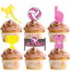 18pcs Pink Glitter Volleyball Dessert Cupcake Topper Beach Volleyball Player Sport Theme Decor Supplies Girls Happy Birthday Decorations view 1