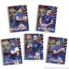 Panini Rugby Team France-Rage de Vaincre Box of 36 Pouches, 004729BOX36F view 4