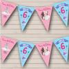 6th Girl Princess Castle Pink Photo Any Age Personalized Any Age Kids Children's Birthday Party Bunting - Hanging Party Decoration - Birthday Party Banner Garland | Decorative Party Supplies view 1