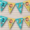 2nd Boy Kids Children's Dinosaur Photo Blue Yellow Personalized Any Age Kids Children's Birthday Party Bunting - Hanging Party Decoration - Birthday Party Banner Garland | Decorative Party Supplies view 1