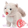 Easfan 12" Walking Kitty Electric Interactive Talking Musical Cat Plush Toy with Remote Control Leash Meowing Tail Wagging Christmas Birthday Gifts for Kids Toddlers, Beige view 1