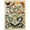 MyPuzzle Papillons - Butterflies for All, Vintage Art Poster, Adolphe Millot - Premium 500 Piece Jigsaw Puzzle for Adults view 1