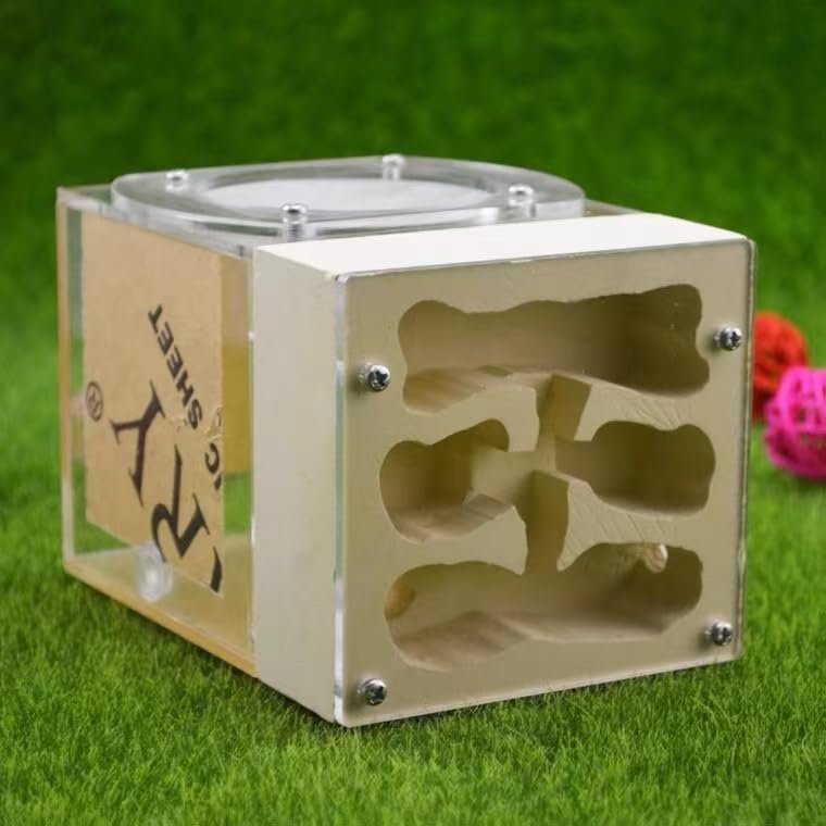 Small Ant Colony Acrylic Plaster Combo Hybrid Nest Ants Farm Ant Formicarium Box
