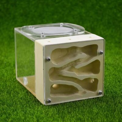 Small Ant Colony Acrylic Plaster Combo Hybrid Nest Ants Farm Ant Formicarium Box