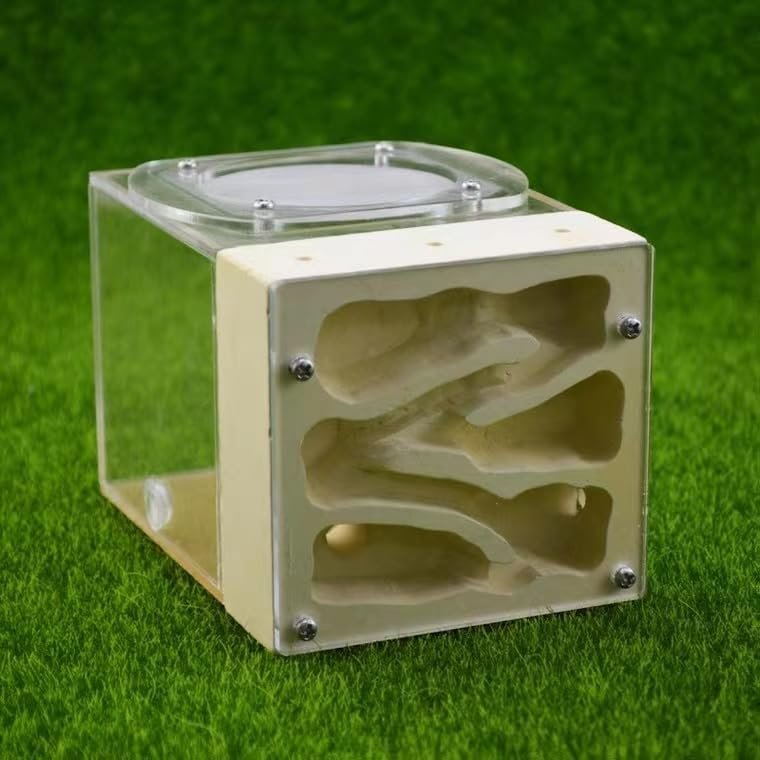 Small Ant Colony Acrylic Plaster Combo Hybrid Nest Ants Farm Ant Formicarium Box