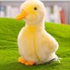 8 Inch Small Yellow Duck Plush Toys Duck Stuffed Toys (Yellow) view 1
