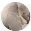 10 Inch Mum and Baby Kangaroo Plush Toys Parent-Child Kangaroo Stuffed Toys view 4