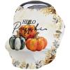 Hello Pumpkin Carseat Cover for Baby Oil Paint Texture Pumpkin Orange Fall Covers for Breastfeeding Breathable Car Seat Stroller Combos Cover Infant Carseat Canopy,Newborn Shopping Cart Covers view 1