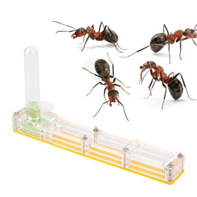 NDNCZDHC Ant Farm, Acrylic Ant Breeding House Nest Formicarium Display Box with Water Tower Moisturizing 14x2.2x7.5cm/5.5x0.9x3in(Yellow)