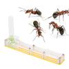 NDNCZDHC Ant Farm, Acrylic Ant Breeding House Nest Formicarium Display Box with Water Tower Moisturizing 14x2.2x7.5cm/5.5x0.9x3in(Yellow) view 1