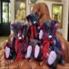 2023 Charlie Bears HIGGLEDY view 2