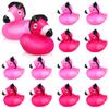 12 Set Hot Pink Rubber Ducks Bulk Pink Bath Toys for Baby Shower Birthday Party Favors Classroom Prizes view 1