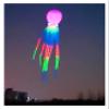 20m Led Octopus Kites Flying Trilobites Kite for String Line Windsurfing Led Fish Kites with Battery (Color : 10sqm Trilobite) view 4