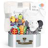 iAOVUEBY Baby Gift Set, Baby Shower Gifts, Black and White High Contrast Baby Toys 0-6 Months for Newborn Essentials Infant Rattle Socks Elephant Toys Blanket Onesies Baby Gift Basket for Girls Boys view 1