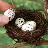 Unomor DIY Craft Foam Easter Eggs Small Fake Birds Eggs Model for Party Decorations Simulation Bird Eggs Set view 1