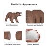Andux Realistic Animals Figures Toys Marine Life Wild Jungle Learning Educational Playset FZDW-03 (Bear) view 3