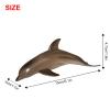 Andux Realistic Animals Figures Toys Marine Life Wild Jungle Learning Educational Playset FZDW-04 (Dolphin) view 2