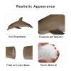 Andux Realistic Animals Figures Toys Marine Life Wild Jungle Learning Educational Playset FZDW-04 (Dolphin) view 3