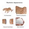 Andux Realistic Animals Figures Toys Marine Life Wild Jungle Learning Educational Playset FZDW-03 (Leopard) view 3