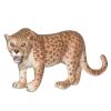 Andux Realistic Animals Figures Toys Marine Life Wild Jungle Learning Educational Playset FZDW-03 (Leopard) view 4