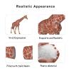 Andux Realistic Animals Figures Toys Marine Life Wild Jungle Learning Educational Playset FZDW-03 (Giraffe) view 3