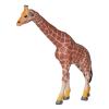 Andux Realistic Animals Figures Toys Marine Life Wild Jungle Learning Educational Playset FZDW-03 (Giraffe) view 4