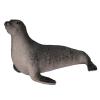 Andux Realistic Animals Figures Toys Marine Life Wild Jungle Learning Educational Playset FZDW-04 (Sea Lion) KZ956-024F view 4