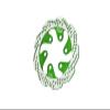 Aluminum 7075-T6 Rear Brake Disk for LOSI 1:4 Promoto-MX Motorcycle Dirtbike RTR LOS06000 LOS06002 Upgrade Parts - Green view 1