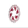 Aluminum 7075-T6 Rear Brake Disk for LOSI 1:4 Promoto-MX Motorcycle Dirtbike RTR LOS06000 LOS06002 Upgrade Parts - Red view 1