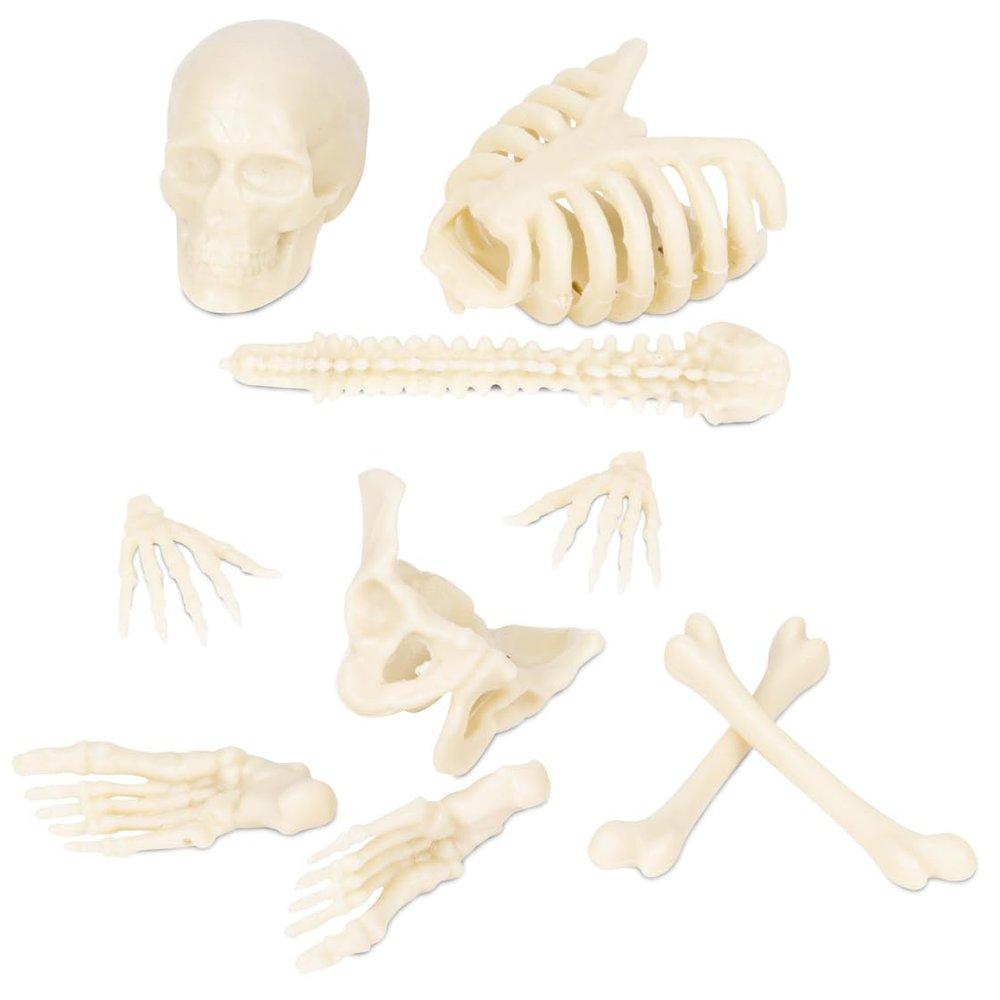 Accoutrements Itty Bitty Bones Glow in The Dark 10 Piece Set - Miniature Bones for Tiny Halloween Displays - Random Soft Vinyl Bones Skull Femur Spine Ribs Pelvis from Archie McPhee