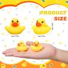 1500 Pcs Mini Rubber Ducks in Bulk Bath Toy Squeak Tiny Ducks for Kids Bathtub Shower Birthday Favors Party Decoration Gift, 1.57 x 1.57 x 1.18 Inches view 2