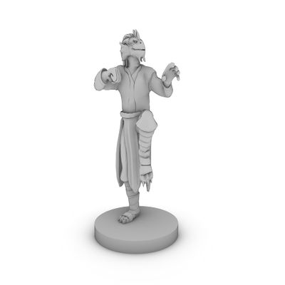 Dragon born Monk Male Tabletop DND Gaming Miniature