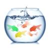 20pcs Goldfish Pet Fish for Cat Toy - Mini Goldfish Swimming in Water - Novelty Waterproof Toddler Swimming Toy view 3