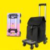 Trolley Platform Hand Truck Small PUSH CARRIER PUSHE SMALL for EASY STORAGE AND RETRACTING CHASSIS 360 DEGREE CHASSIS RETRACTING CHASSIS Platform ( view 3
