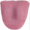 blue-ther 2 Pcs Horrible Stretchable Tongue Realistic Magic Tongue Fake Tongue Specially Function for Halloween/Close-up Terror Magic Trick Comedy Magic Trick Accessories Props view 3