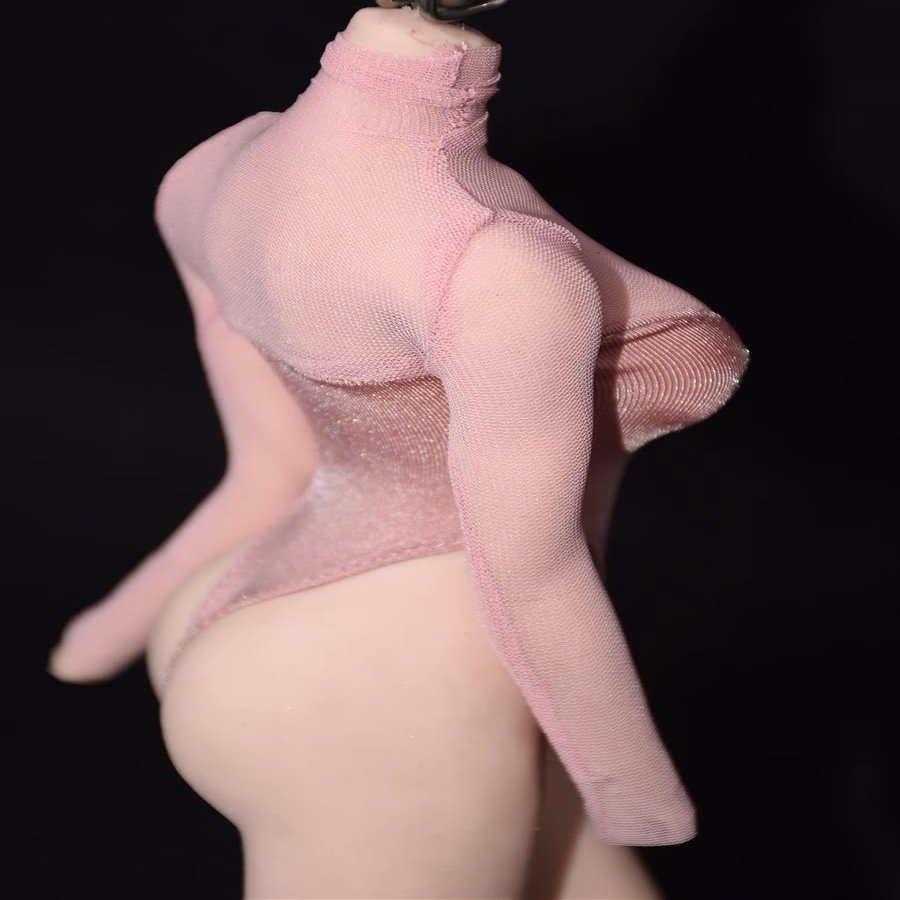 1/6 Scale Female Clothes,Female High Fork Swimsuit Swimwear Costume Outfit Clothing for 12inch PH TBL JO Action Figure Body (Pink, Mesh Version)