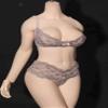 1/6 Scale Female Lace Bras Briefs UnderwearClothes for 12inch Female PH TBL JO UD Action Figure Body view 1