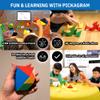 Pickagram Tangram 3D Magnetic Puzzle for Kids (8-12), Adults & Seniors | STEM Certified Fidget Puzzle - Magnetic Pattern Blocks for Cognitive Development, Creativity & Focus - Random Mix view 3
